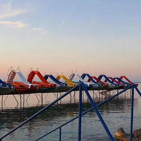 Elegant 希欧福克