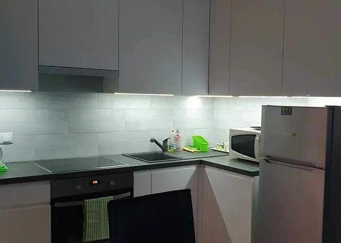 Elegant Apartment